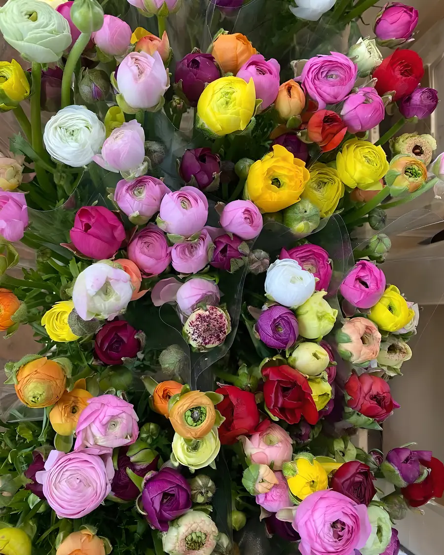 Gemengde ranonkels in alle kleuren in de winkel aan de Molendijk